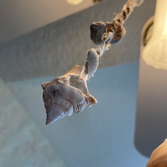 Ceiling fan pulls - Picture 3 of 3